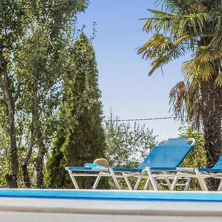Holiday home Pet Friendly In *
